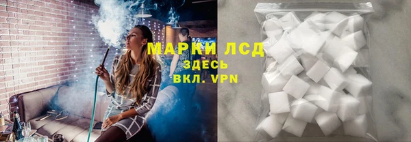 прущие грибы Белоозёрский