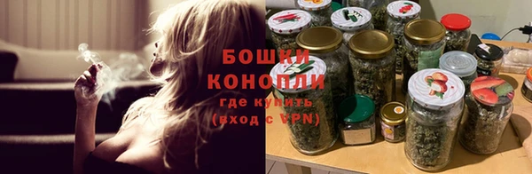 прущие грибы Белоозёрский