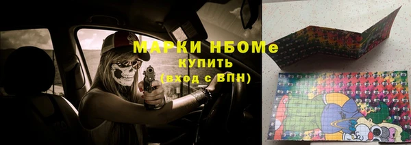 прущие грибы Белоозёрский