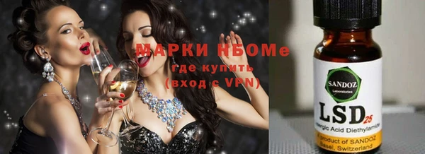 прущие грибы Белоозёрский