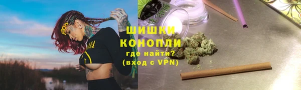 прущие грибы Белоозёрский