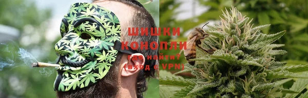 прущие грибы Белоозёрский